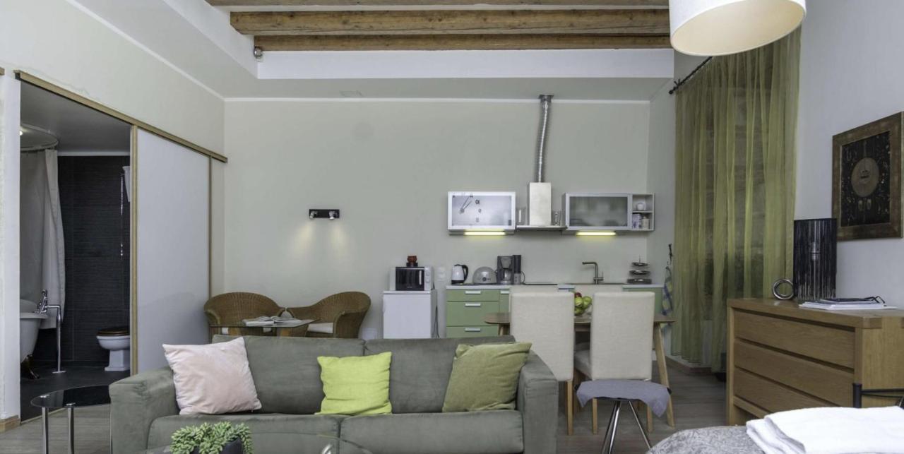 Spacious Studio Apartment In The Heart Of Old Town Tallin Zewnętrze zdjęcie